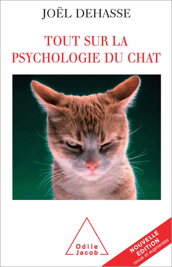 Everything About Cat Psychology