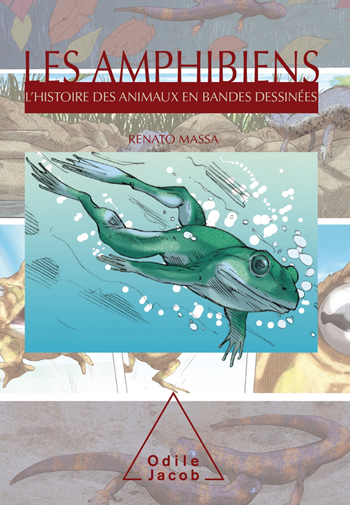 Amphibiens (Les) - L’Histoire des animaux en bandes dessinées