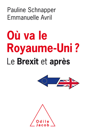 Où va le Royaume-Uni ? - Le Brexit et après