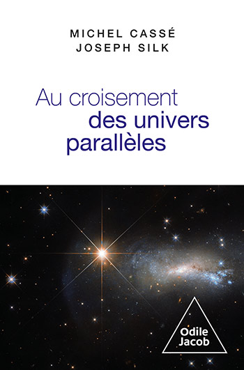 Au croisement des univers parallèles - Cosmologie et métacosmologie