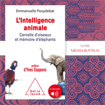 Intelligence animale (L') - Cervelle d'oiseaux et mémoire d'éléphants